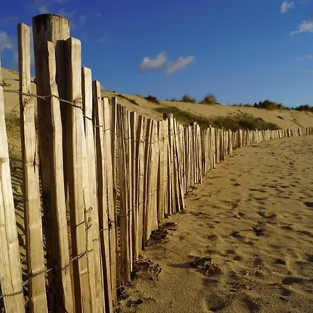 Apartamento Réf 561 Océan , Classé 1 étoile à 200m De La Plage, Idéal Couple *